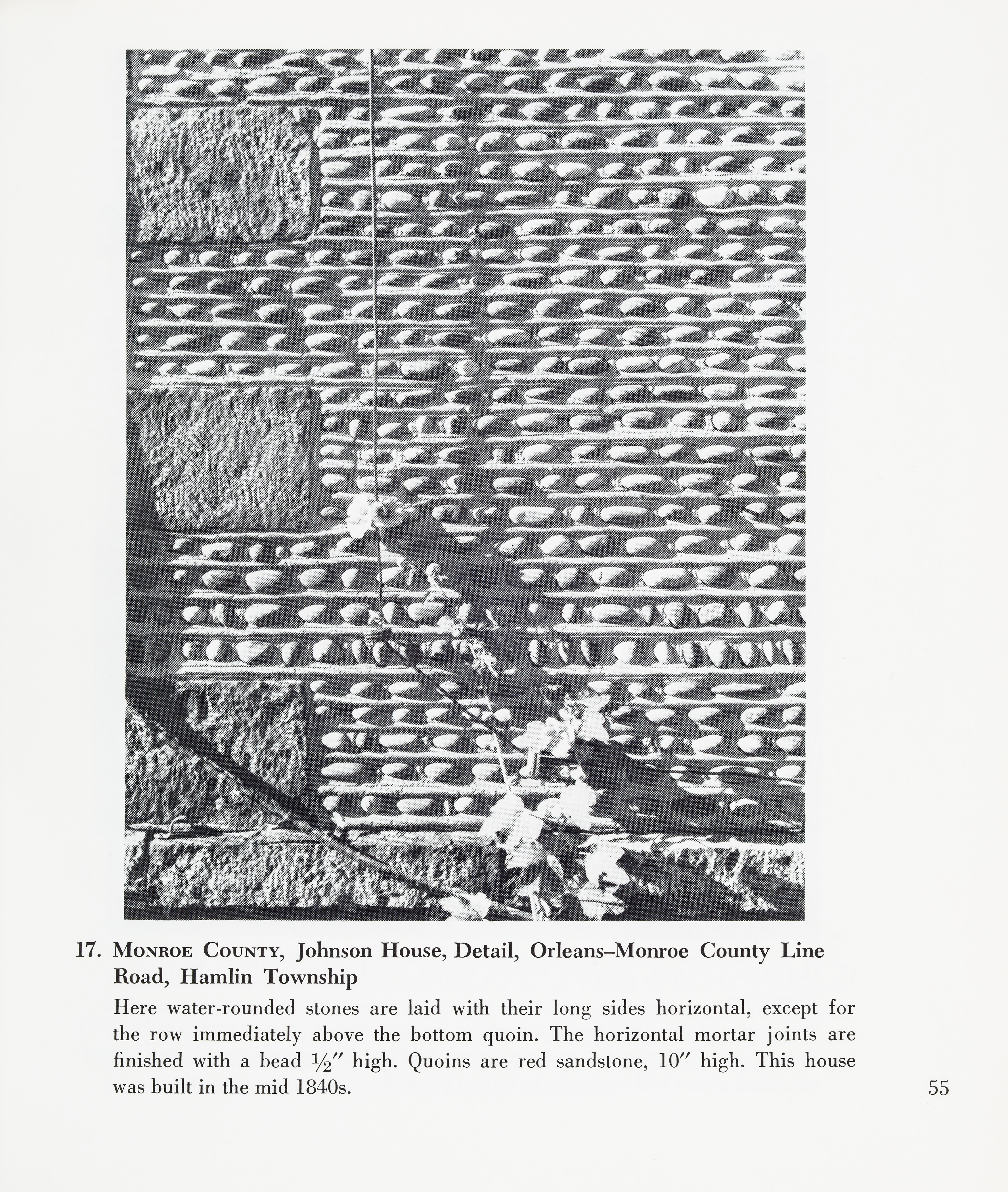 CLNYS Page 55 200315